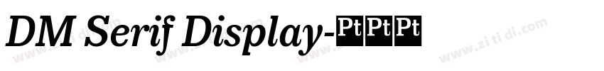 DM Serif Display字体转换